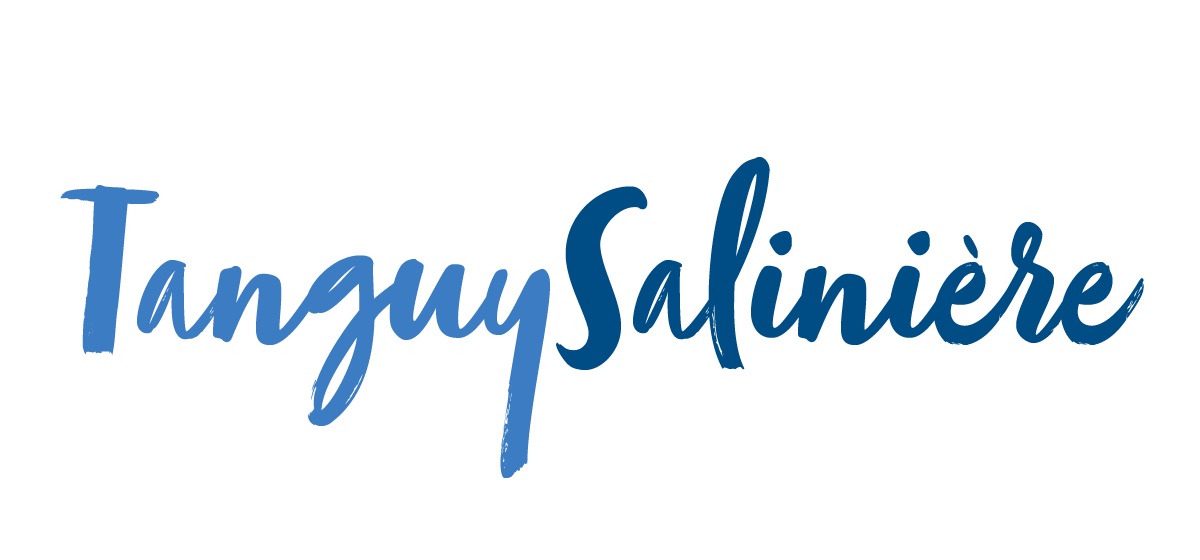 Logo Tanguy SALINIERE